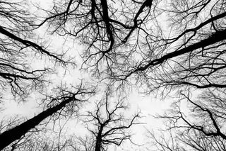 5 Ways to Support Your Nervous System Naturally