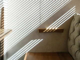 How to Build a Morning Ritual with Plants