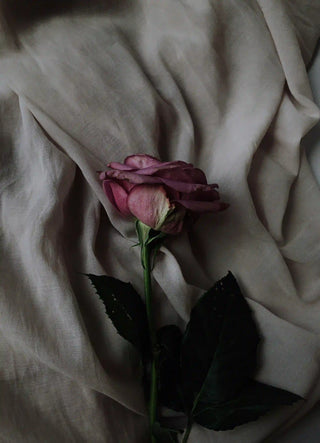 Girl drinking a tea in a blanket - Welb Organics soft days tea