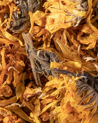 Close-up of dried marigold flowers with a focus on texture and color.