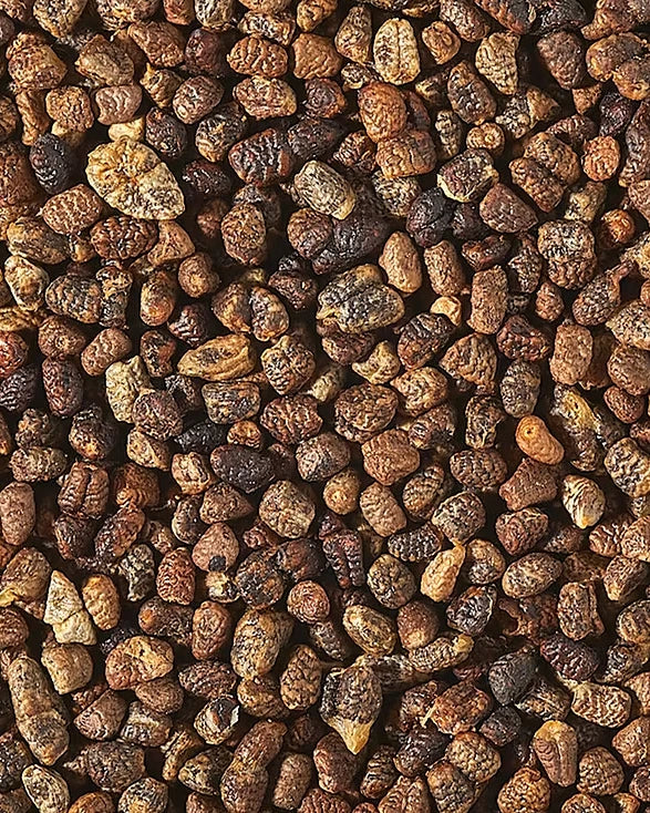 Organic Cardamom Seeds | Welb Organics