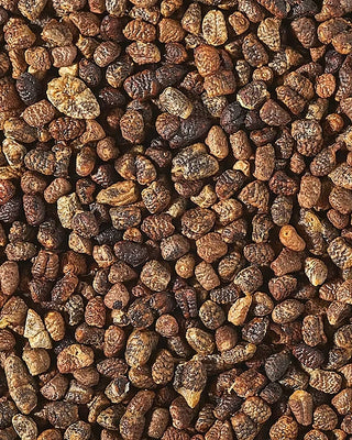 Close-up of a pile of small cardamom seeds