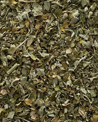 Close-up of dried catnip herbs