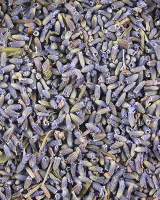Close-up of dried lavender flowers with a mix of purple and green hues.