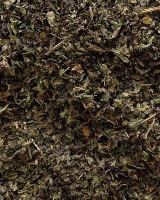 Close-up of dried green nettle leaves