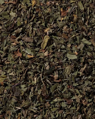 Close-up of dried green peppermint leaves