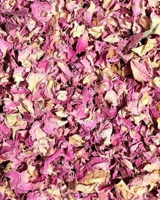 Close-up of pink and purple dried petals