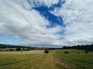 A green field with a path in the middle and cloudy skies
